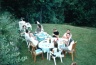 thm_Img30006.jpg