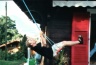 thm_Img30009.jpg